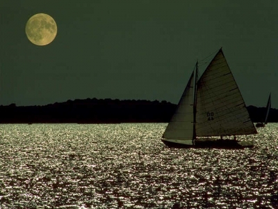 Moonlight Sail