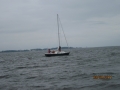 York River Cup Race 2011 009