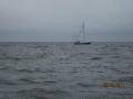 York River Cup Race 2011 013