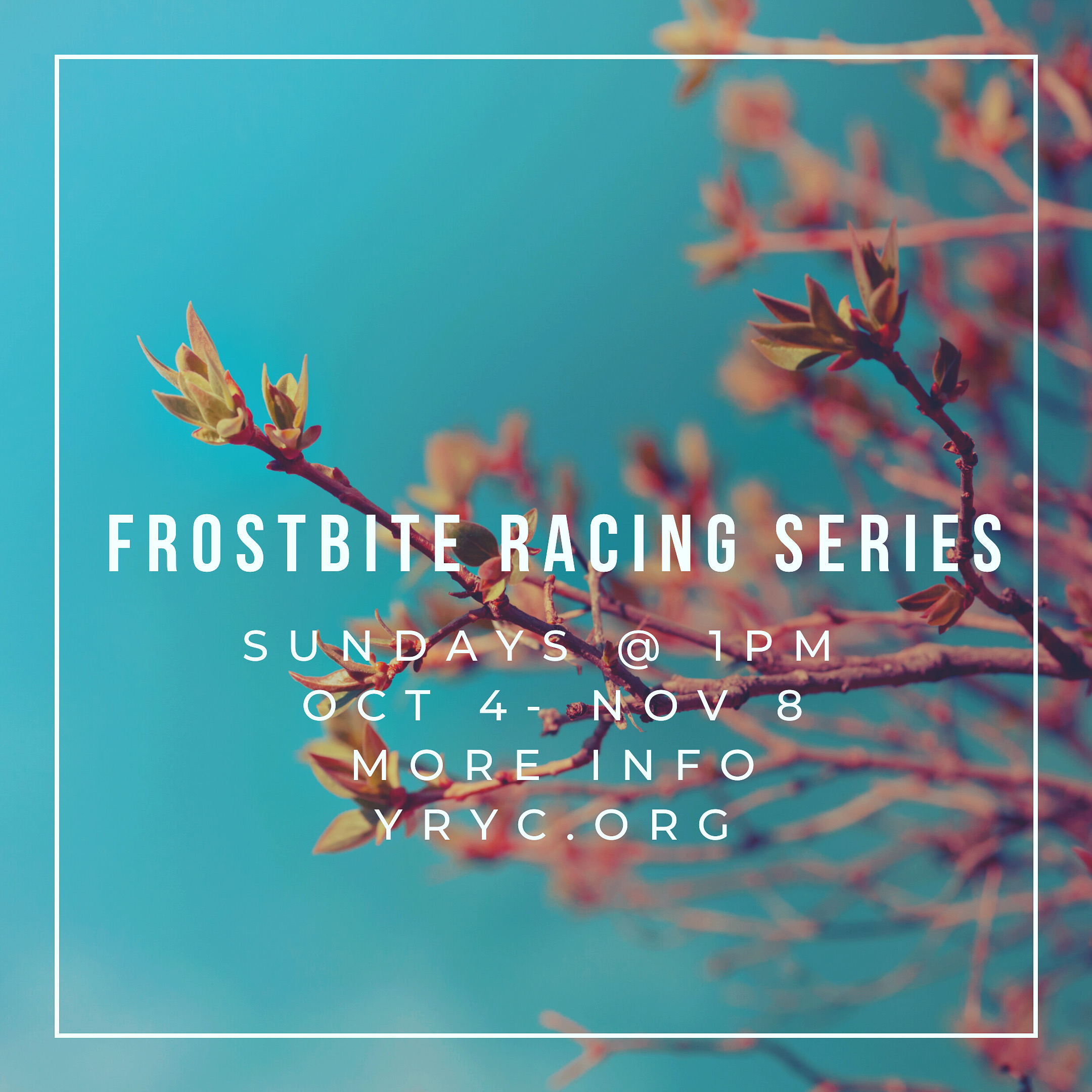 Frostbite Racing Series